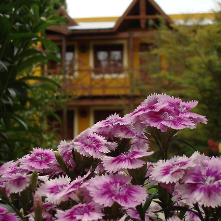 Hotel Kau Kaleshen El Calafate Exteriér fotografie