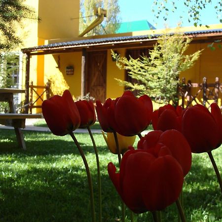 Hotel Kau Kaleshen El Calafate Exteriér fotografie