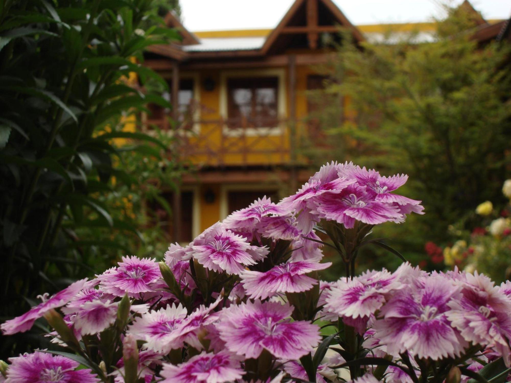 Hotel Kau Kaleshen El Calafate Exteriér fotografie