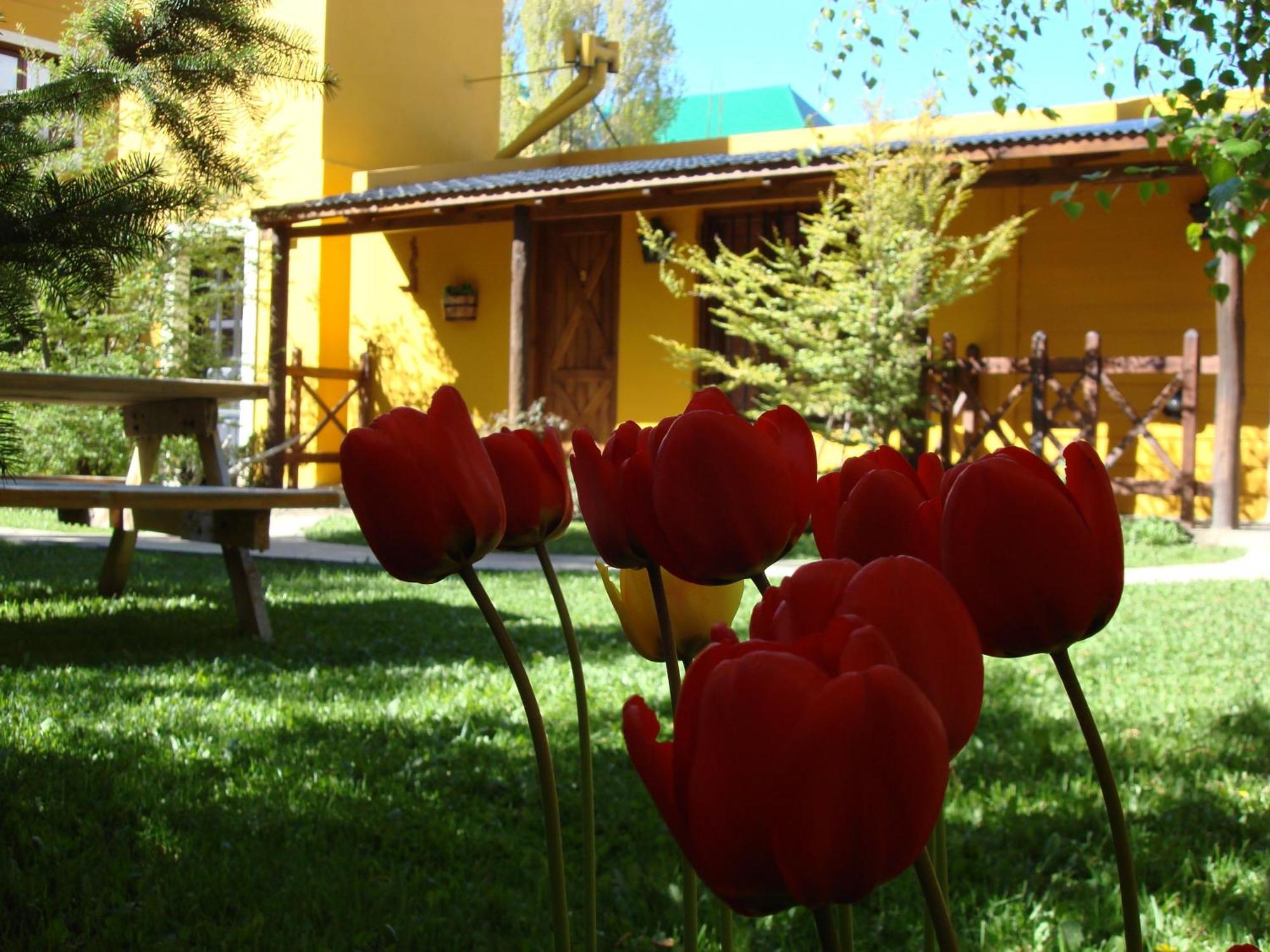 Hotel Kau Kaleshen El Calafate Exteriér fotografie